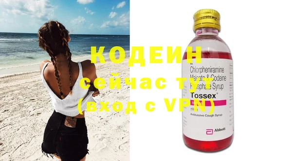 шишки Абаза