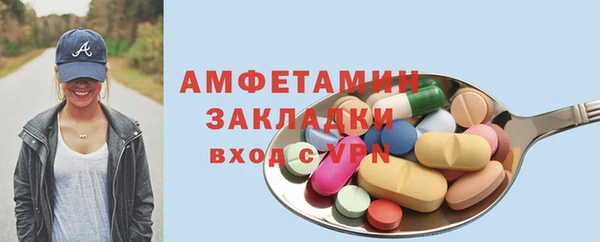 шишки Абаза