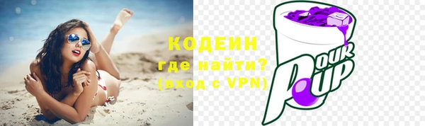 шишки Абаза