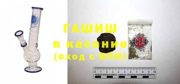 шишки Абаза