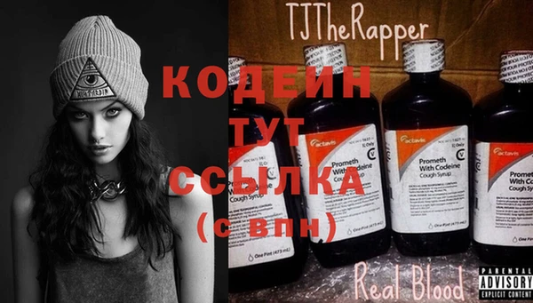 шишки Абаза