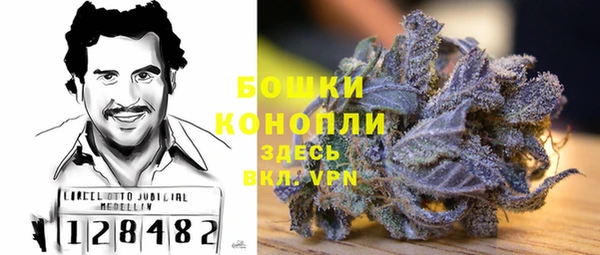 шишки Абаза