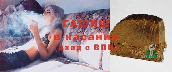 шишки Абаза