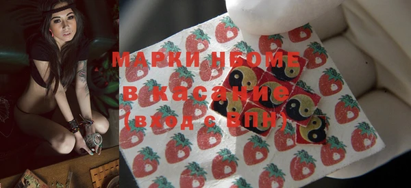 шишки Абаза