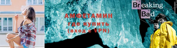 шишки Абаза
