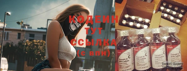 шишки Абаза