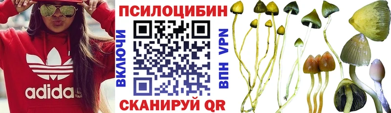 Галлюциногенные грибы мицелий  Питкяранта 